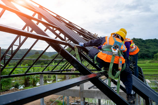 Best Metal Roofing Contractor  in Grand Marais, MN